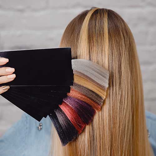 Der Meister zeigt eine Palette von Haarfarben auf dem Hintergrund der Haare des Kunden.